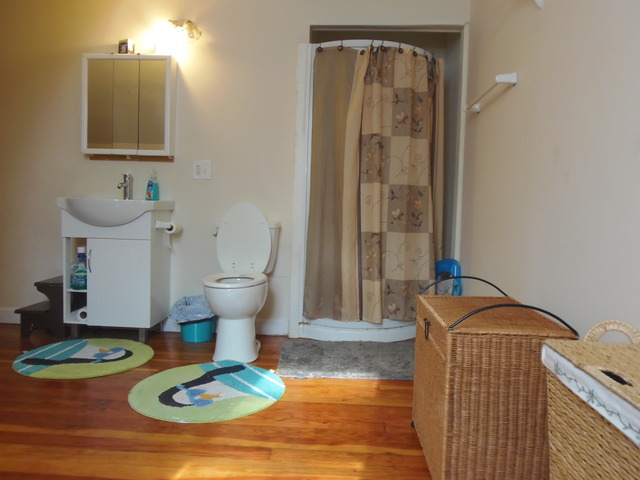 22 N Union St, Elgin, IL 60123 photo 10