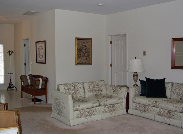 13646 S Redbud Dr, Plainfield, IL 60544 photo 6