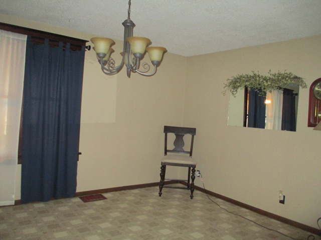 1007 N 3rd Ave, Mendota, IL 61342 photo 4