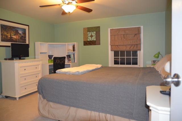 1007 14th Ave, Mendota, IL 61342 photo 16