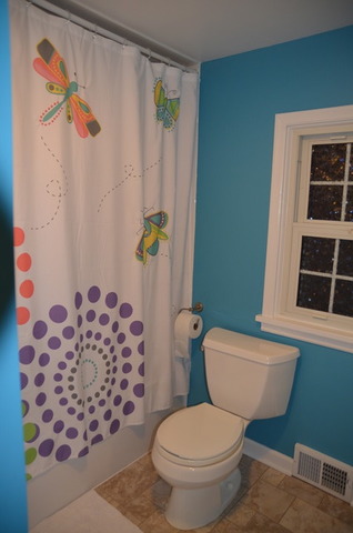 1007 14th Ave, Mendota, IL 61342 photo 15