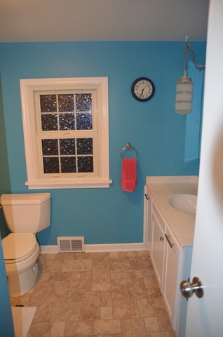 1007 14th Ave, Mendota, IL 61342 photo 14
