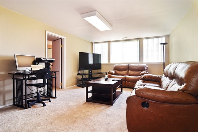 373 Snow Drift Ct, Bartlett, IL 60103 photo 8
