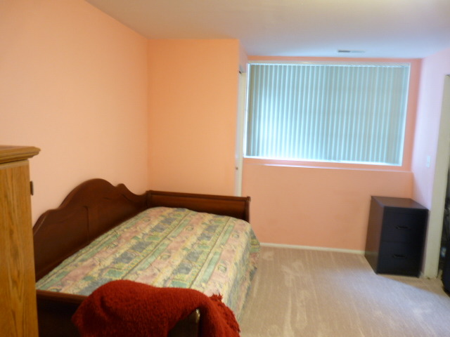 373 Snow Drift Ct, Bartlett, IL 60103 photo 9