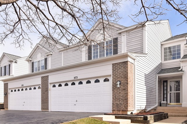 373 Snow Drift Ct, Bartlett, IL 60103 photo 1