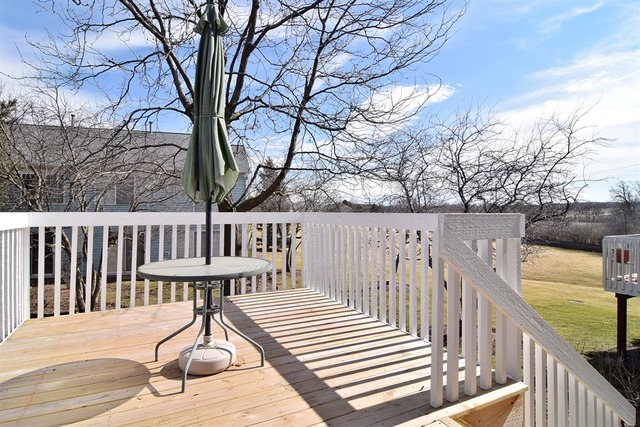 373 Snow Drift Ct, Bartlett, IL 60103 photo 11