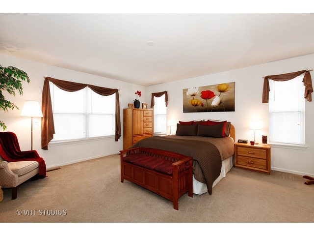 25304 Scott Dr, Plainfield, IL 60544 photo 9
