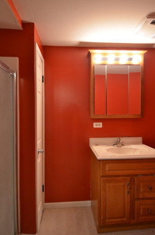 16211 Grove Ave, Oak Forest, IL 60452 photo 20