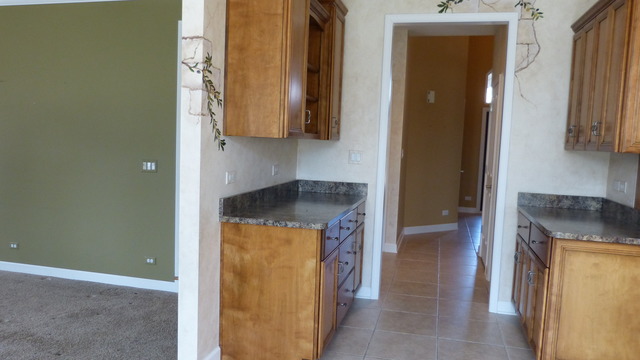 13411 Skyline Dr, Plainfield, IL 60585 photo 6