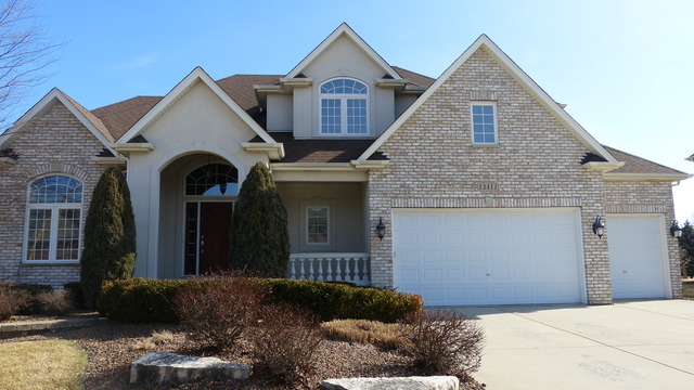 13411 Skyline Dr, Plainfield, IL 60585 photo 1