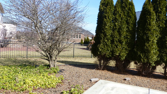13411 Skyline Dr, Plainfield, IL 60585 photo 25