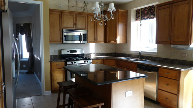13411 Skyline Dr, Plainfield, IL 60585 photo 4