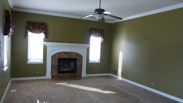 13411 Skyline Dr, Plainfield, IL 60585 photo 7