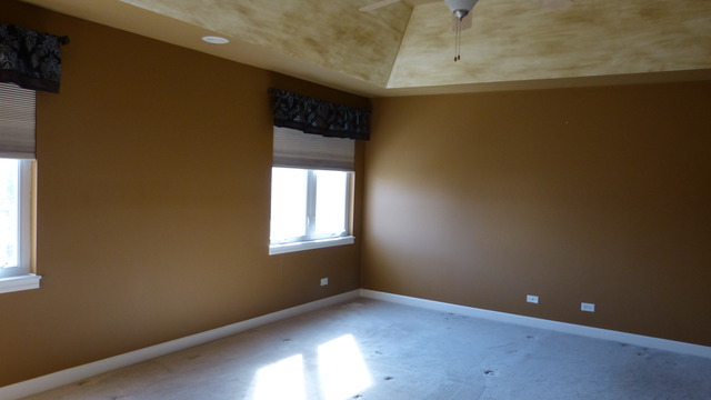 13411 Skyline Dr, Plainfield, IL 60585 photo 9