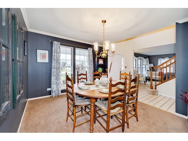 372 Wildberry Ln, Bartlett, IL 60103 photo 6