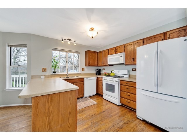 372 Wildberry Ln, Bartlett, IL 60103 photo 13