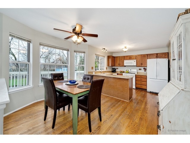 372 Wildberry Ln, Bartlett, IL 60103 photo 11