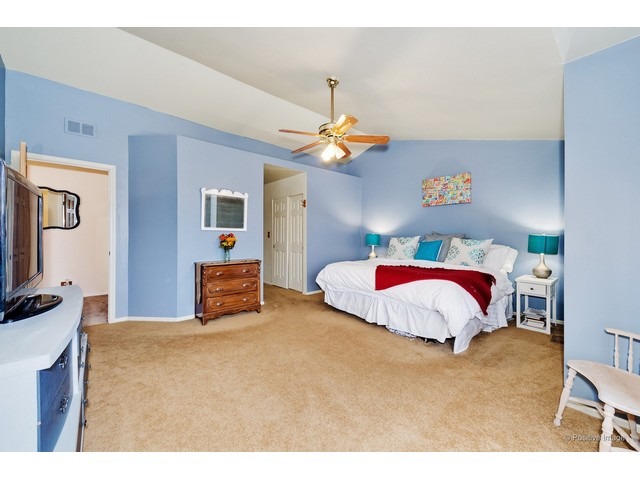 372 Wildberry Ln, Bartlett, IL 60103 photo 17