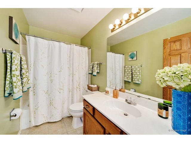 372 Wildberry Ln, Bartlett, IL 60103 photo 20