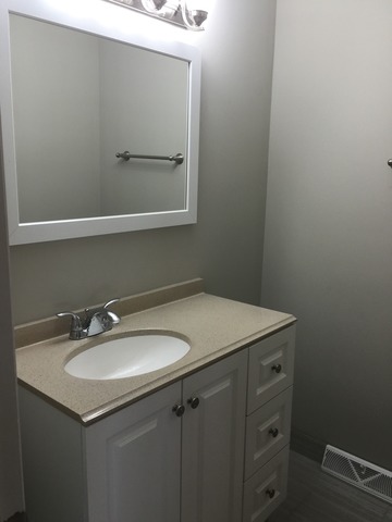 8940 Lyons St, Des Plaines, IL 60016 photo 14