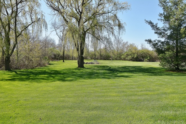 13005 W 185th St, Mokena, IL 60448 photo 25
