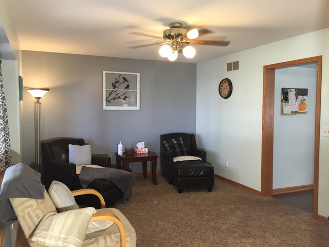 131 Old Farm Mid Ct, Bradley, IL 60915 photo 5