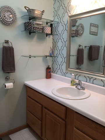 131 Old Farm Mid Ct, Bradley, IL 60915 photo 16