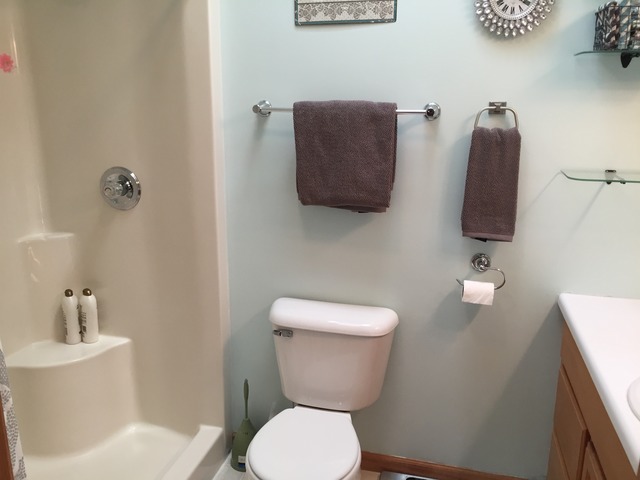 131 Old Farm Mid Ct, Bradley, IL 60915 photo 17