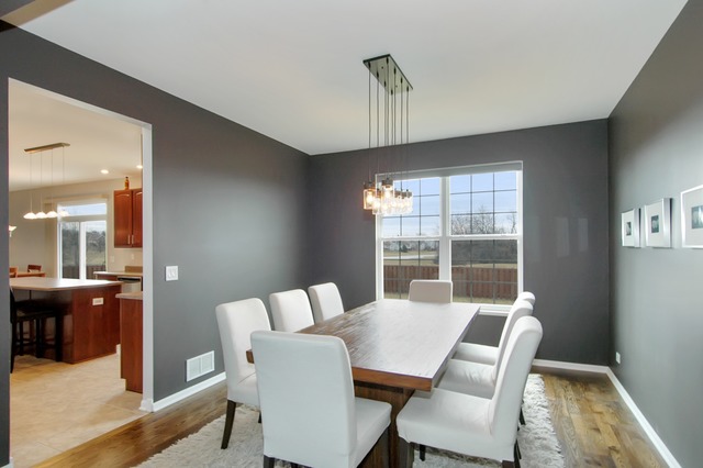 1029 Biltmore Dr, Elgin, IL 60120 photo 5