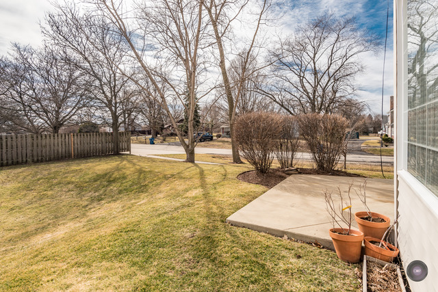 904 Case St, Naperville, IL 60563 photo 24