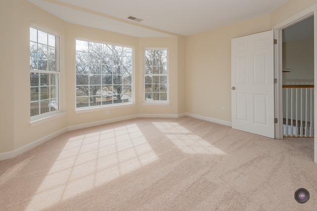 904 Case St, Naperville, IL 60563 photo 14