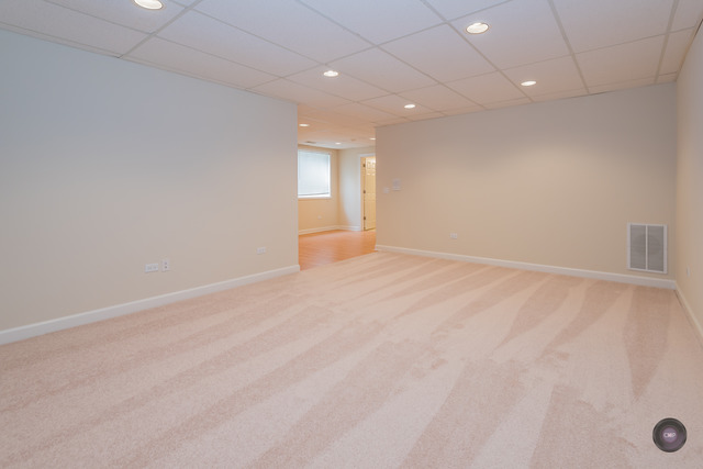 904 Case St, Naperville, IL 60563 photo 20
