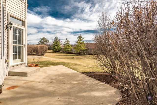 904 Case St, Naperville, IL 60563 photo 23