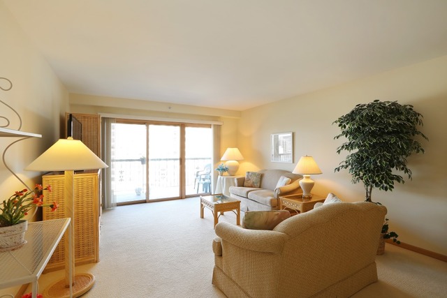 1600 E Thacker St #707, Des Plaines, IL 60016 photo 4