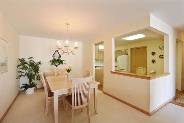 1600 E Thacker St #707, Des Plaines, IL 60016 photo 8