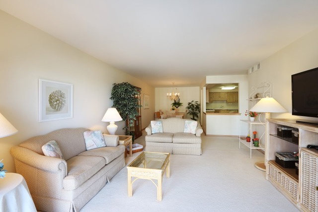 1600 E Thacker St #707, Des Plaines, IL 60016 photo 5