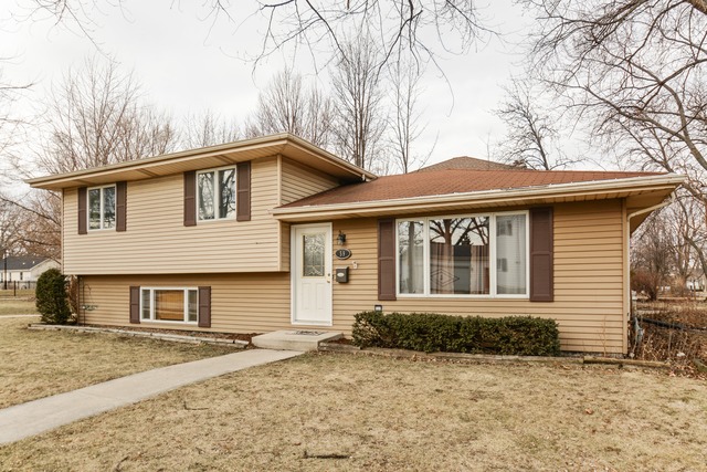 59 Eureka Dr, Lemont, IL 60439 photo 1