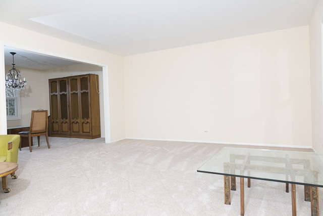 1193 Ivy Ct, Bartlett, IL 60103 photo 3