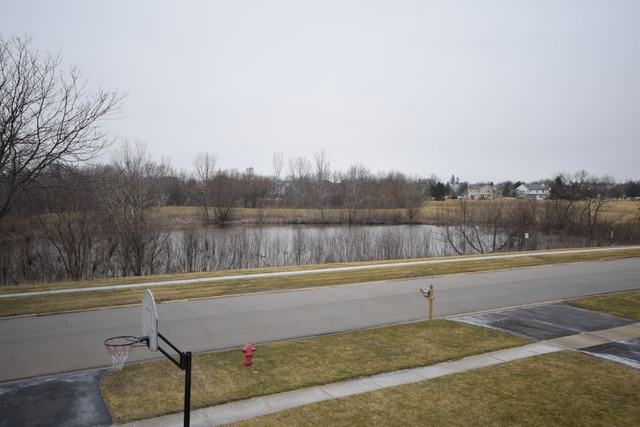 1655 Penny Ln, Bartlett, IL 60103 photo 15