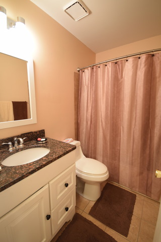 1655 Penny Ln, Bartlett, IL 60103 photo 12