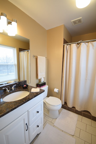 1655 Penny Ln, Bartlett, IL 60103 photo 9