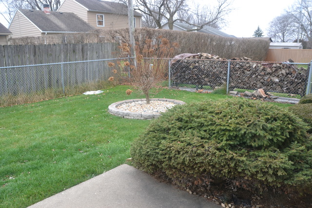 416 Apple St, Dixon, IL 61021 photo 15