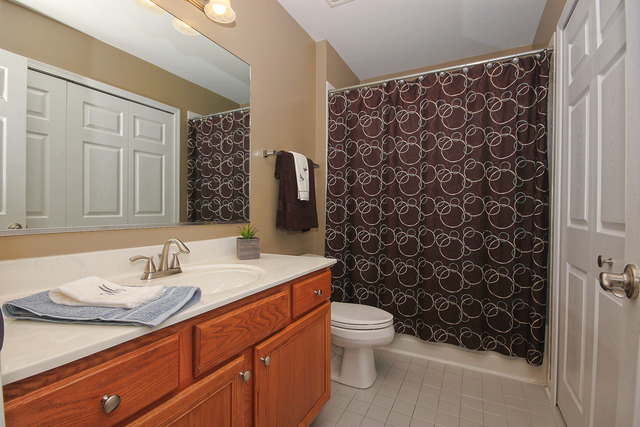 1214 Hunters Rdg, Hoffman Estates, IL 60192 photo 19