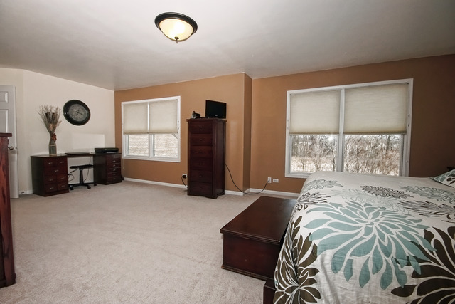 1214 Hunters Rdg, Hoffman Estates, IL 60192 photo 15