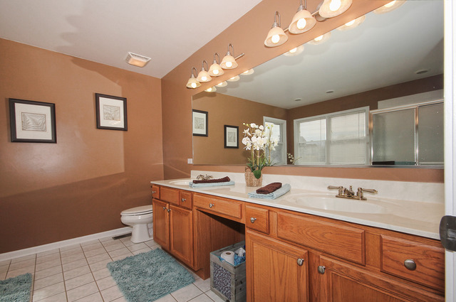 1214 Hunters Rdg, Hoffman Estates, IL 60192 photo 12
