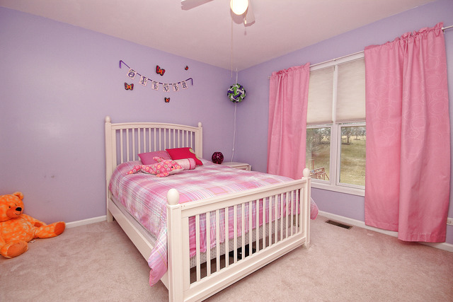 1214 Hunters Rdg, Hoffman Estates, IL 60192 photo 17
