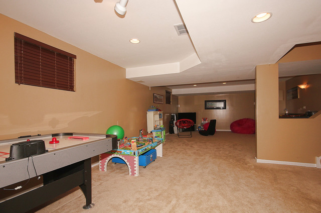 1214 Hunters Rdg, Hoffman Estates, IL 60192 photo 20