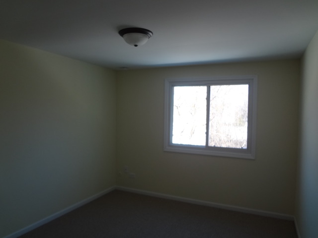 653 Lakeside Cir Dr, Wheeling, IL 60090 photo 17