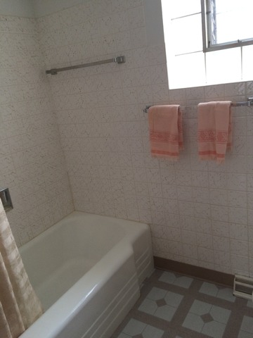 14610 Evers St, Dolton, IL 60419 photo 6