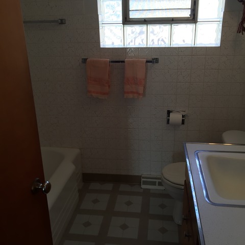 14610 Evers St, Dolton, IL 60419 photo 7